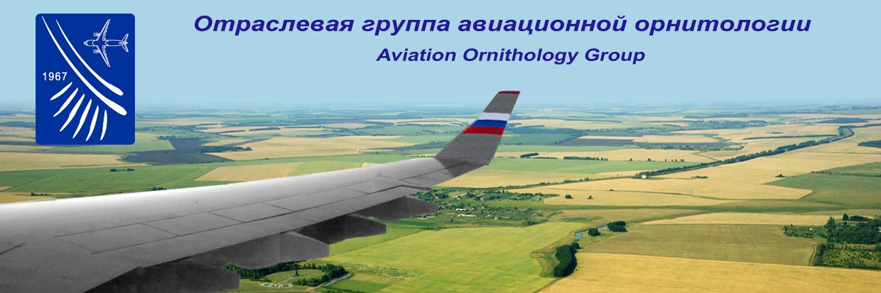 Отраслевая Группа Авиационной Орнитологии